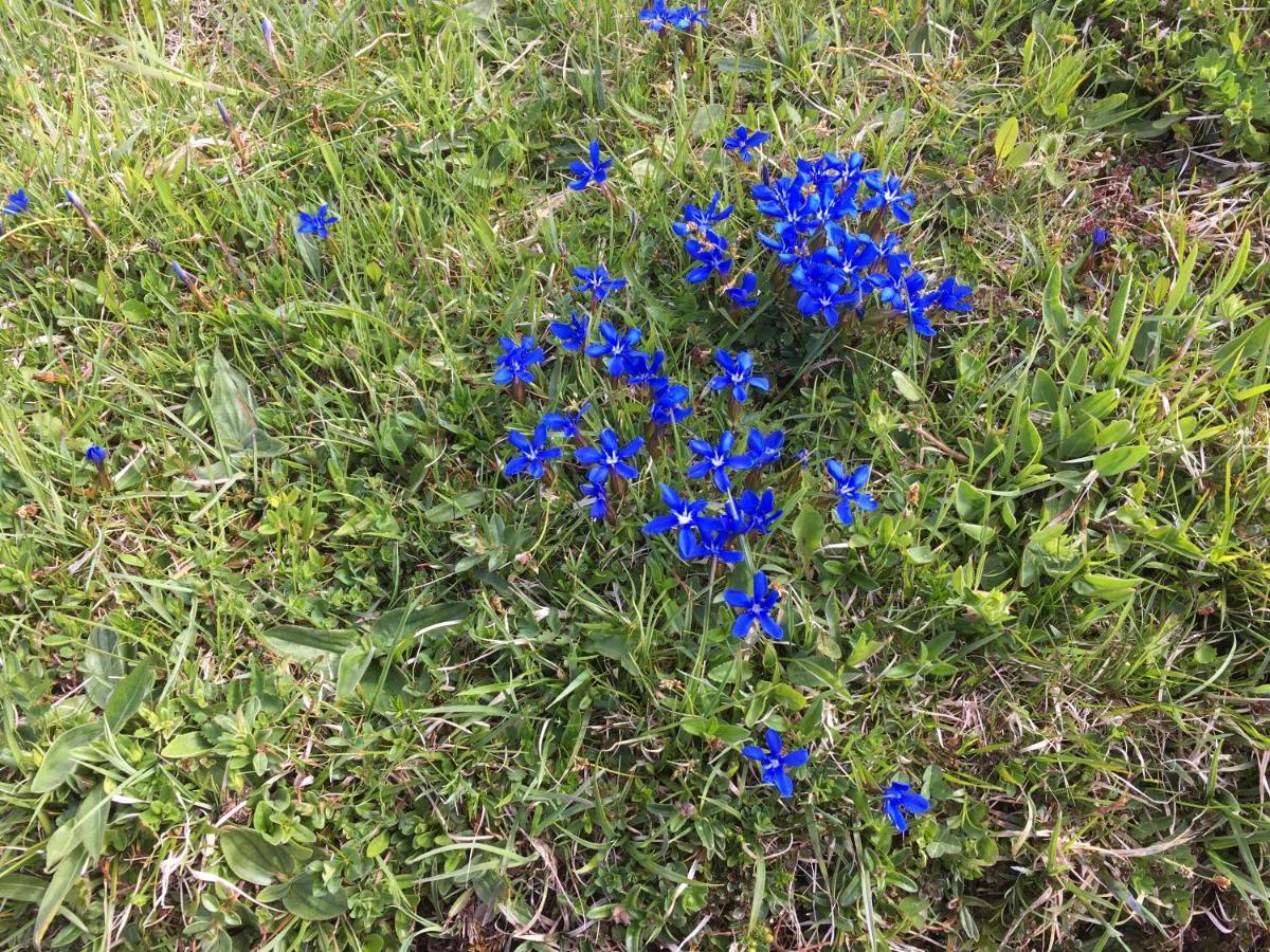 באיירישצל Landhaus Renata - Wendelstein מראה חיצוני תמונה